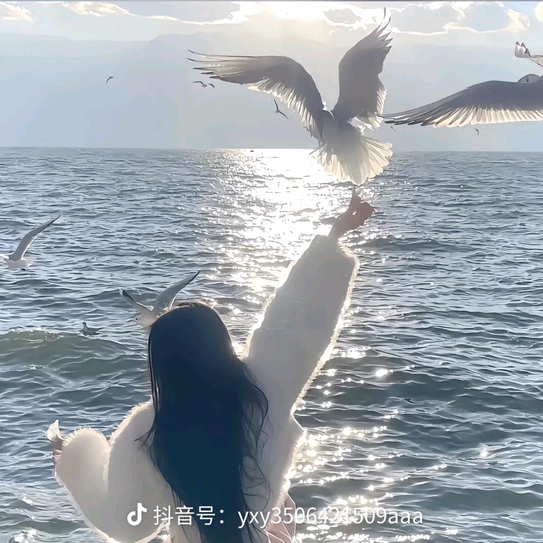 🐬海\zZ≈🌊