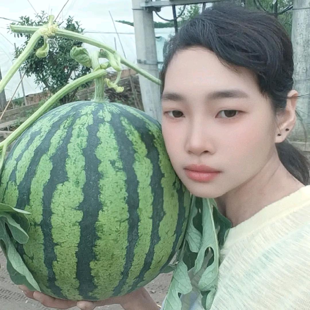 白塔娜娜，西瓜，豇豆角橘子采摘园自产自销