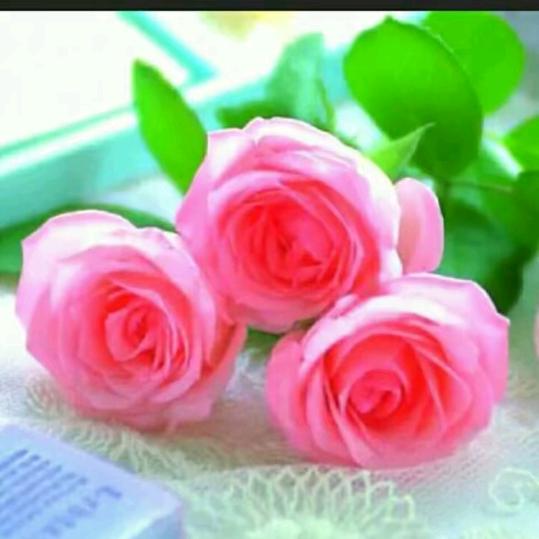 笑看@尘世美！！！