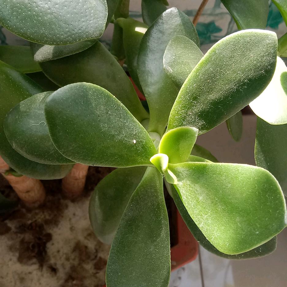 顺风 顺水