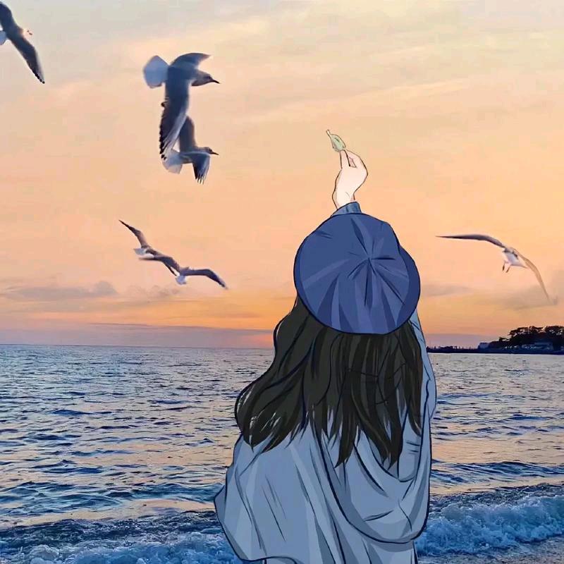 晴晴优选（驰兆）