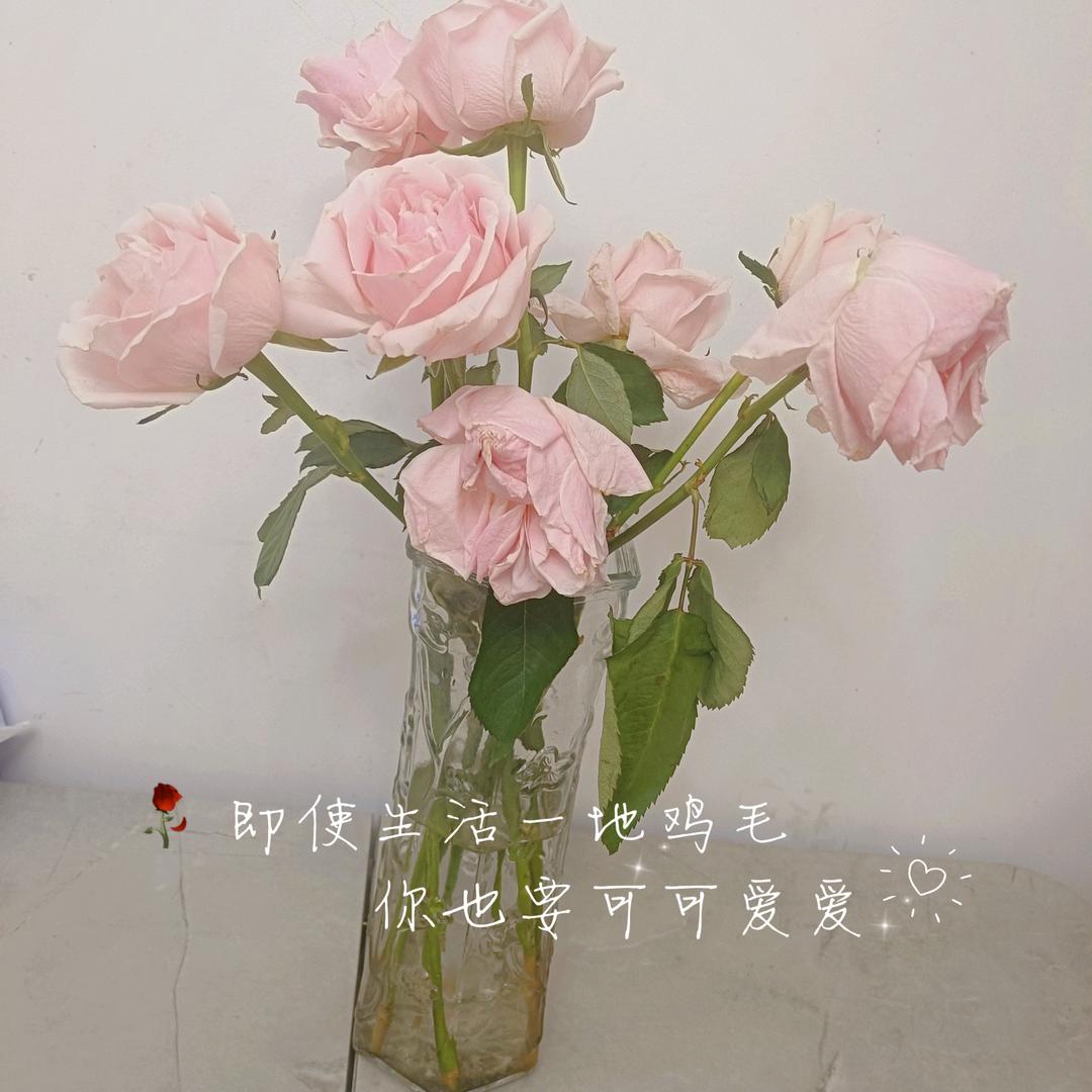 茈钕孒ゞ莈吢莈肺