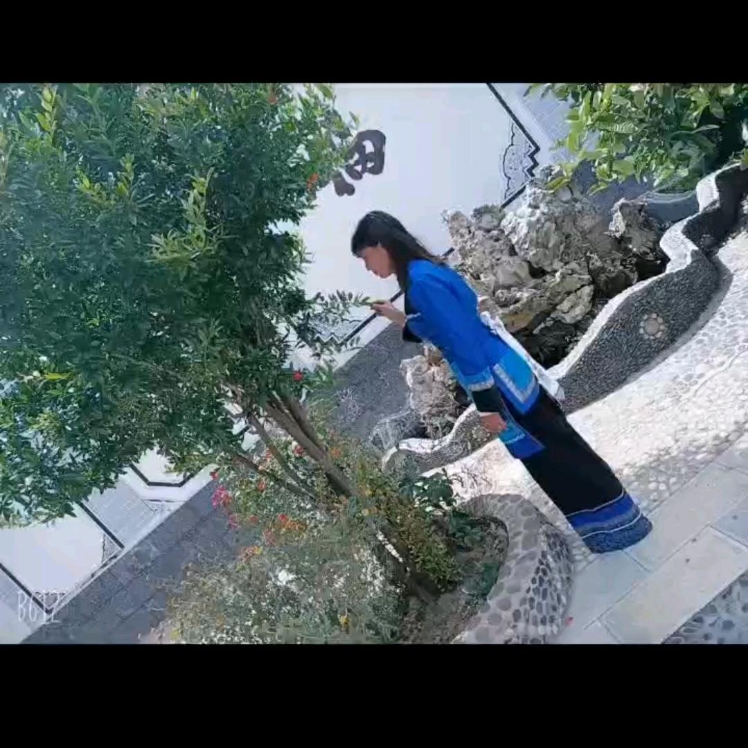 楠楠【白族歌曲】