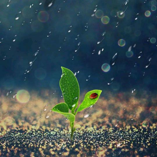 💦雨飞大地🌱