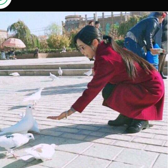 珍珠🇨🇳