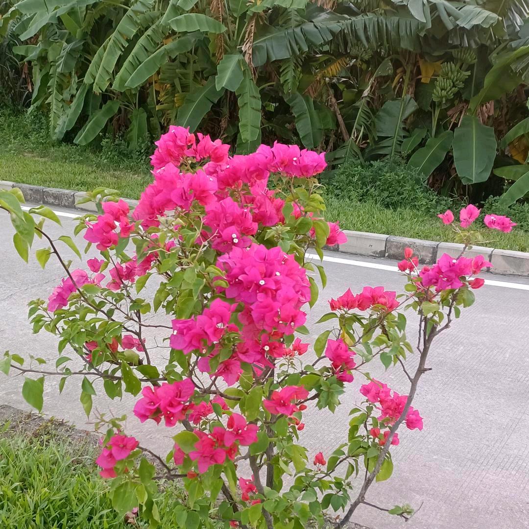 花好月圆22616《拒绝私聊》