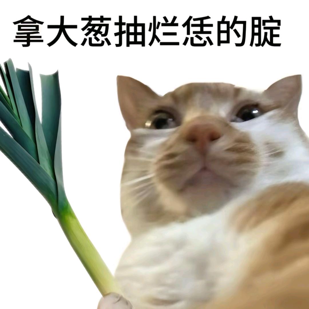 🌈我奶常扇赵子龙