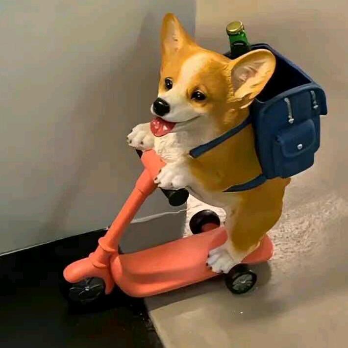 崽崽不闹