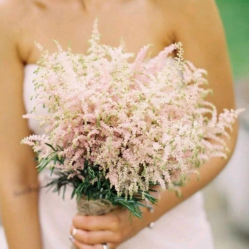 阿瑾的花园(昆明美地花卉）