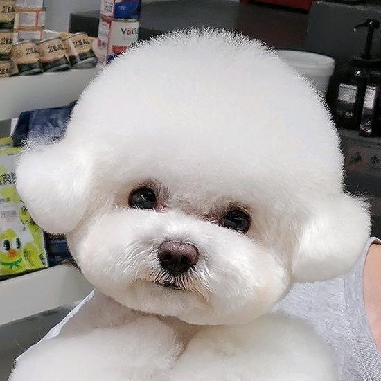 嗨皮也是Happy