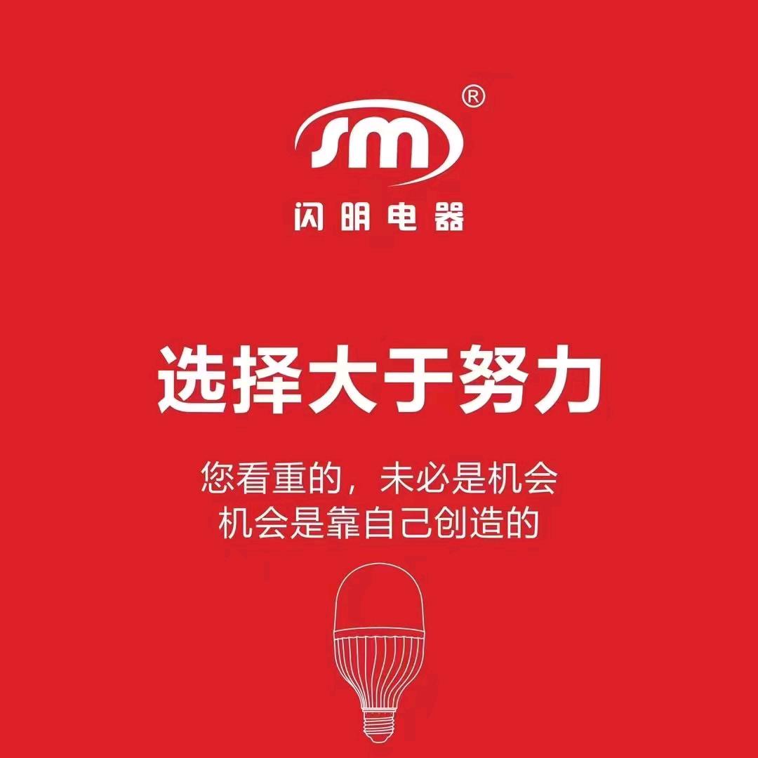闪明电器 星际嘉工程开关