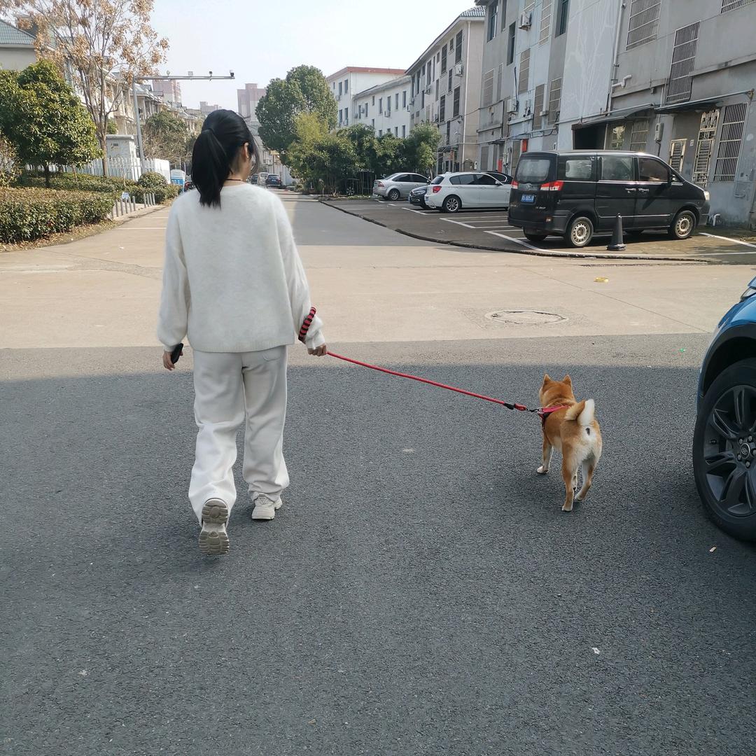 鸿运安安