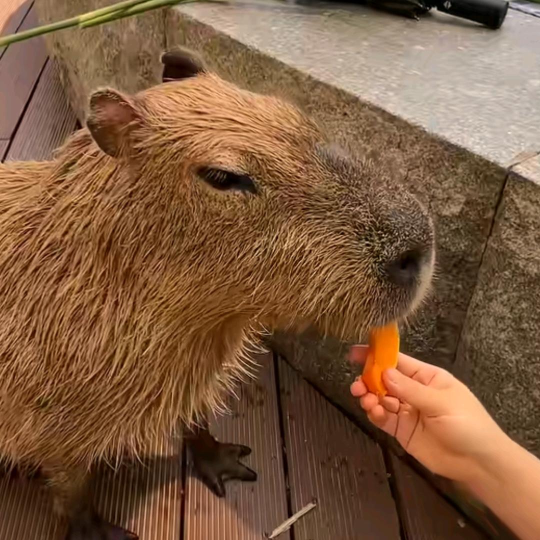 ꧁💞硕🐯说好的幸福💞᭄᪲ᩚ꯭ᩚ꧂