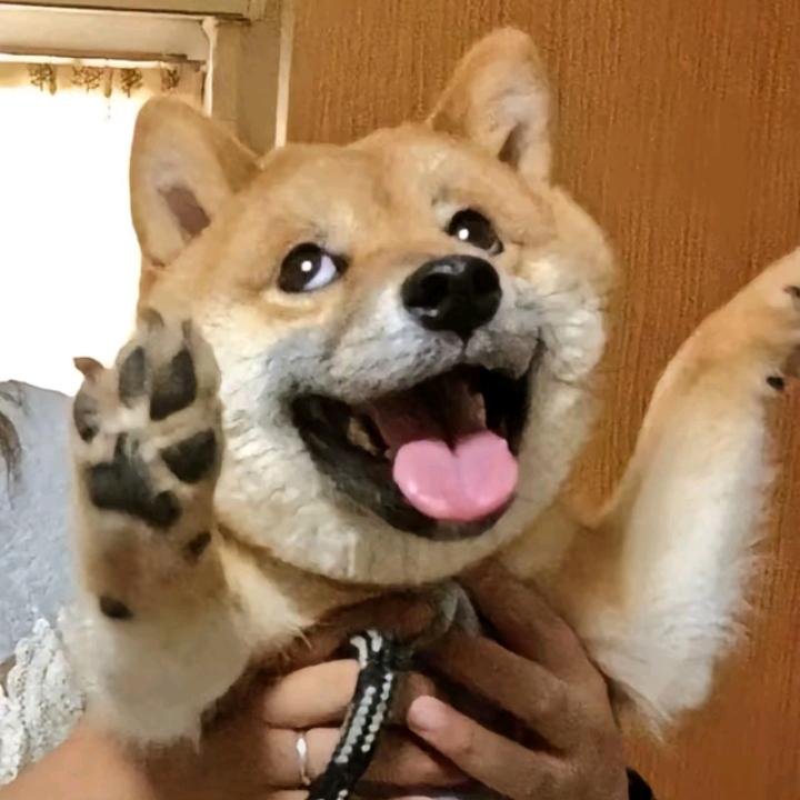 蕊仔是富婆