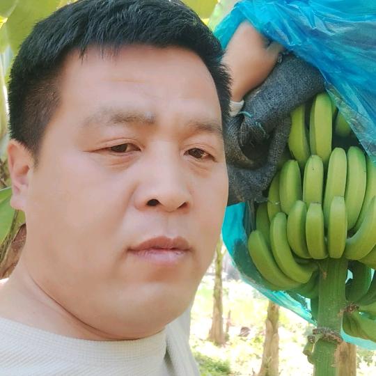 饶阳一锭金果业