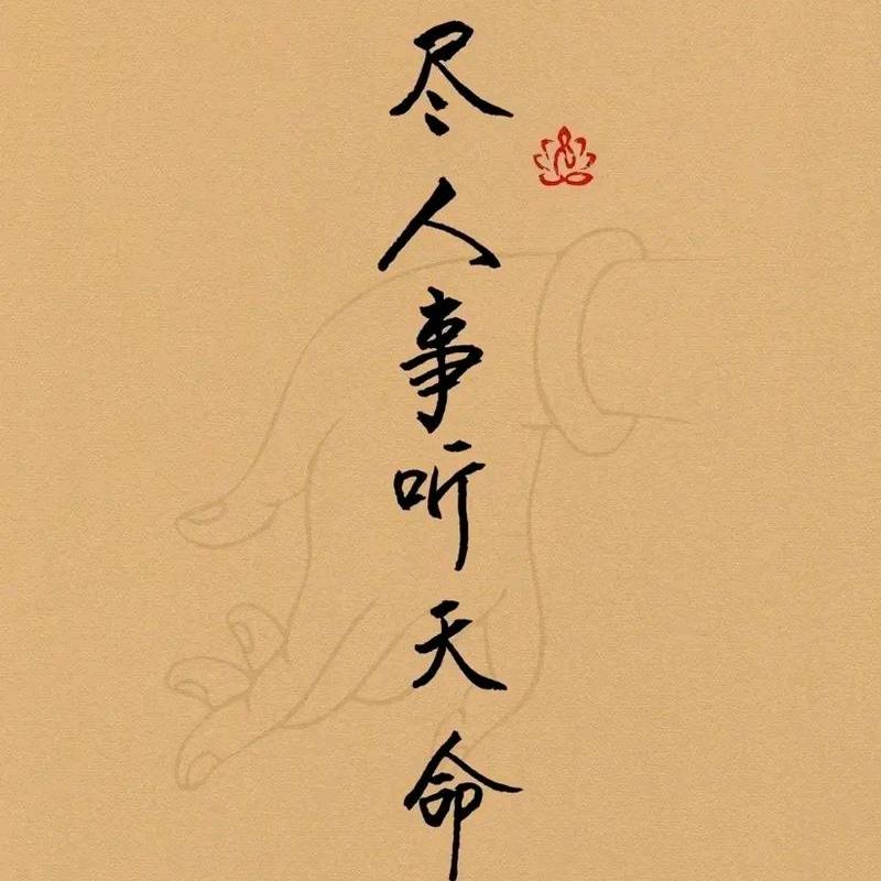 宜兴文化课姚校长（直播号）