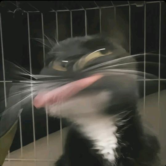 打扮成忧郁总裁被骂装货.