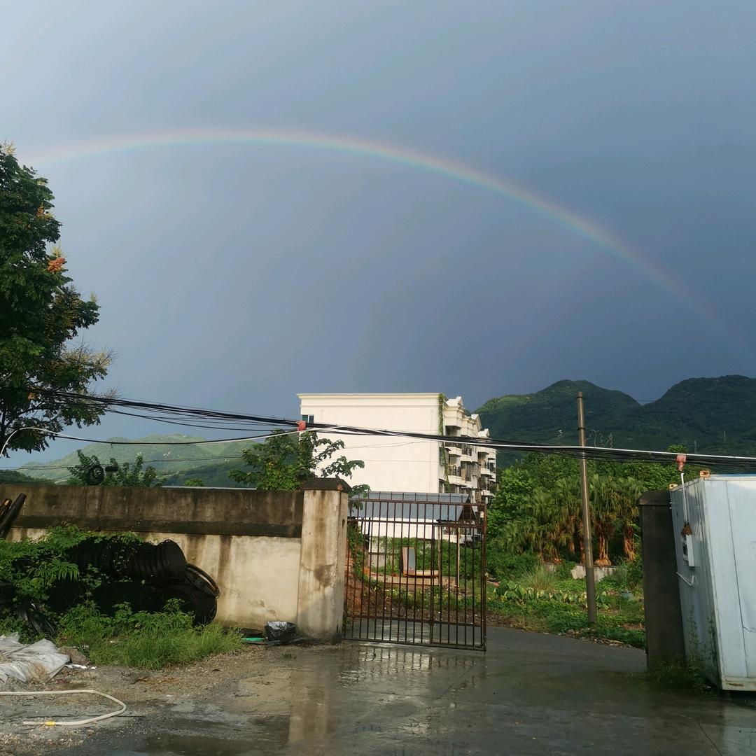 只愿你能幸福