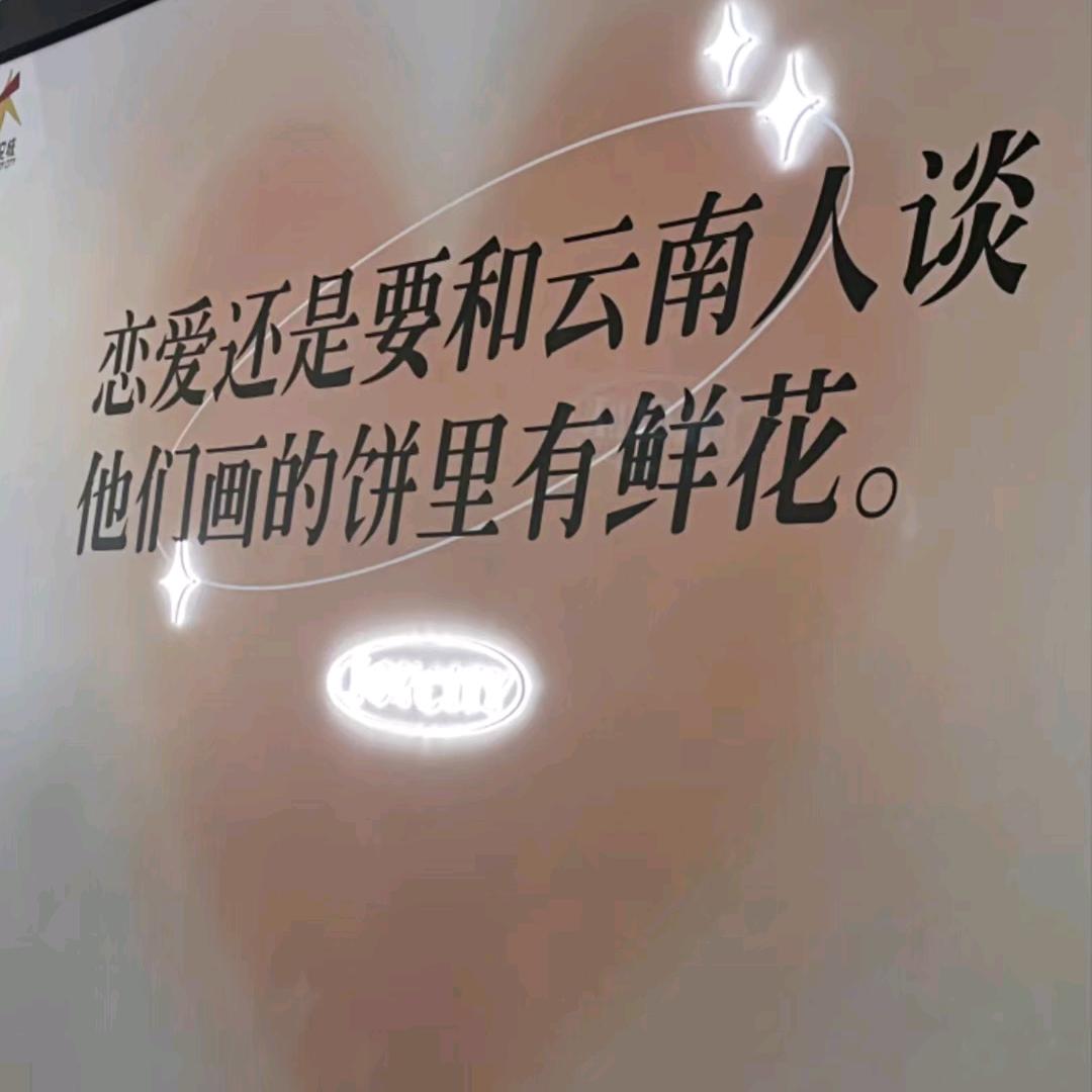 你的酒馆对我打了洋