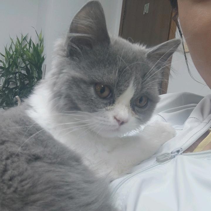 娟娟吃什么零食