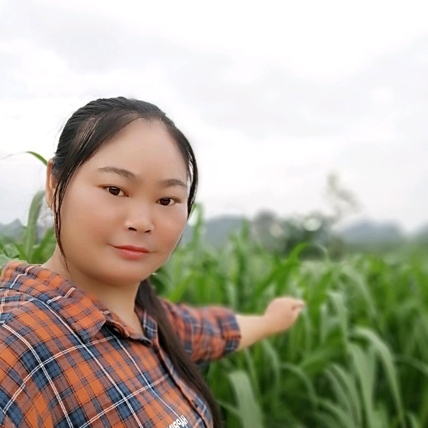 兰姐1
