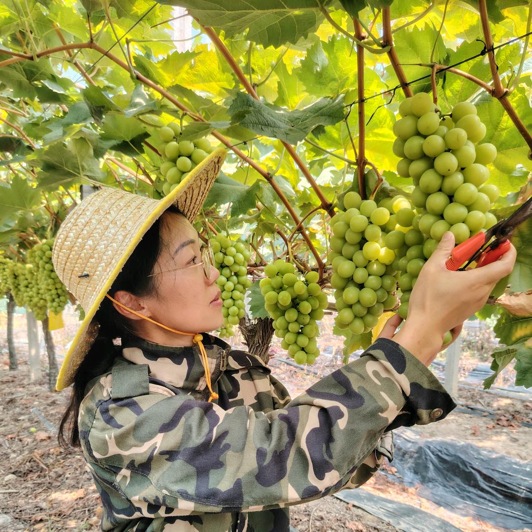 邻城三月