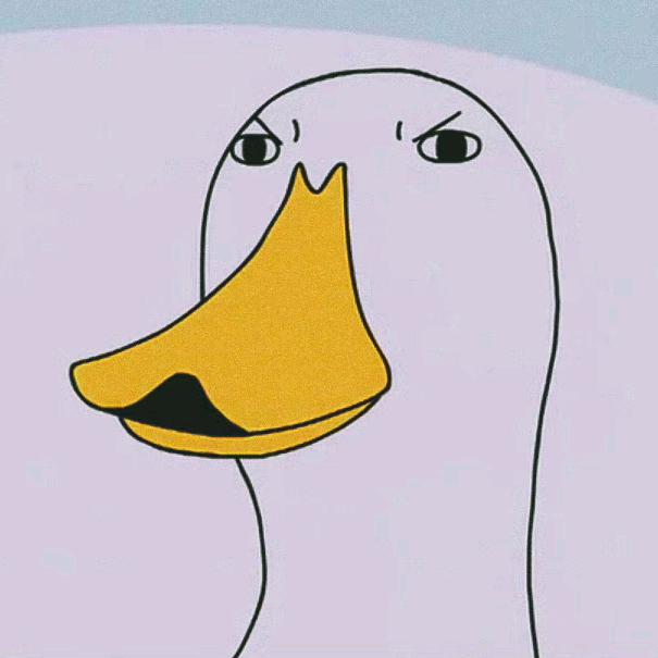 一只生无可恋的鸭子