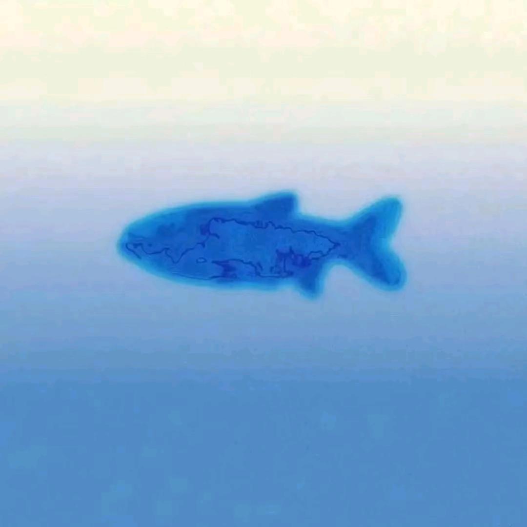 谢