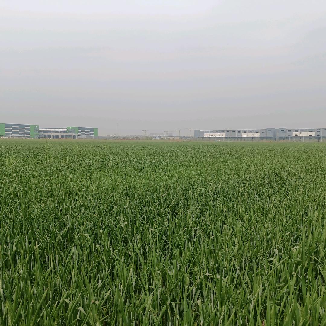 方明月