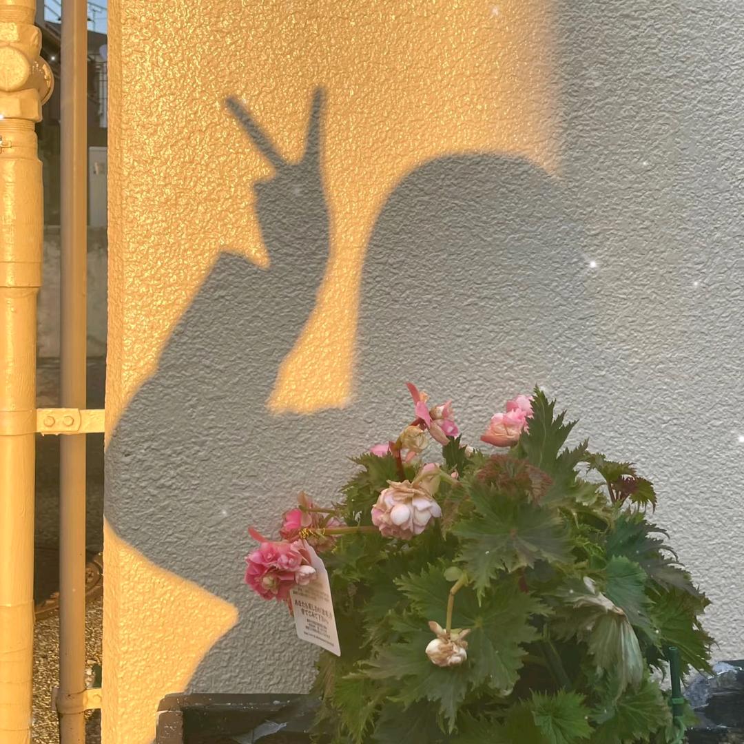 ᦦ້ᮨ囍心🍒🍒