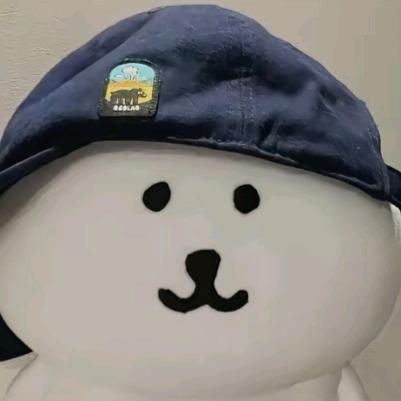 绝情的土豆丝