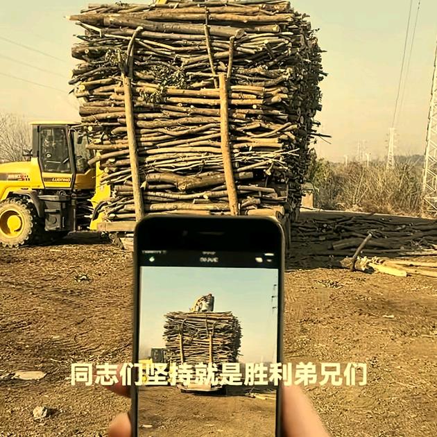 随心