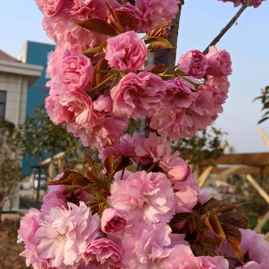 忘掉烦恼，从头再来。