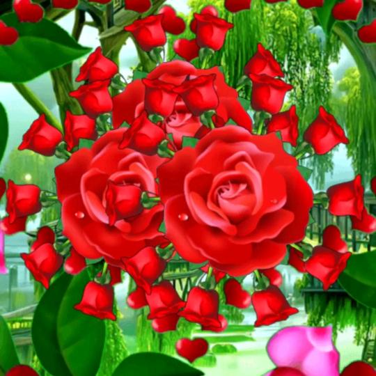 梦想成真靠自己最好的🌹🌹🌹🌹🌹