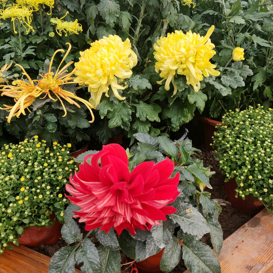 珍惜眼前的人。🌹🌷🌺💐🌻🌿