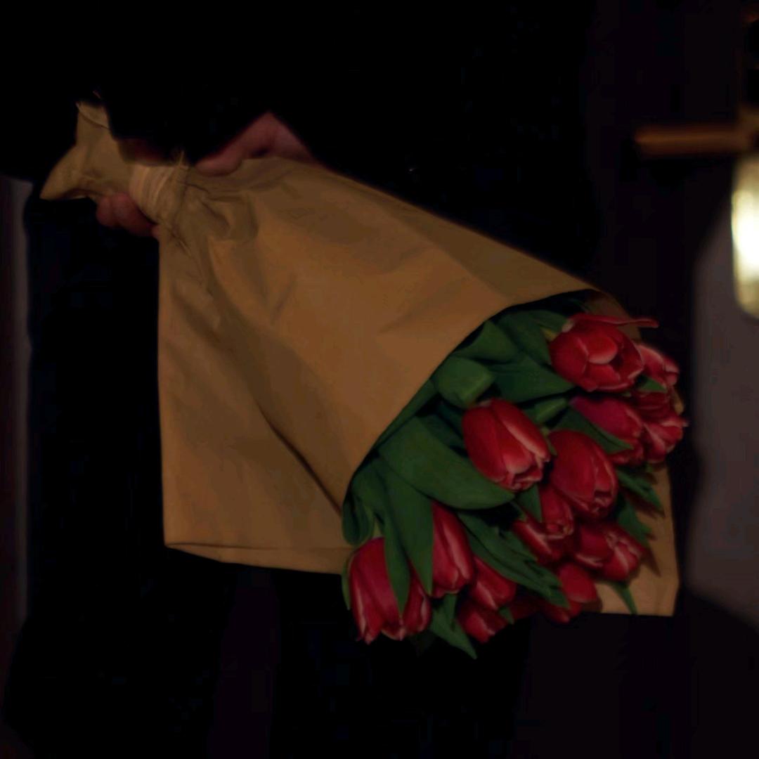 👑Dan.₁₀.₀₅