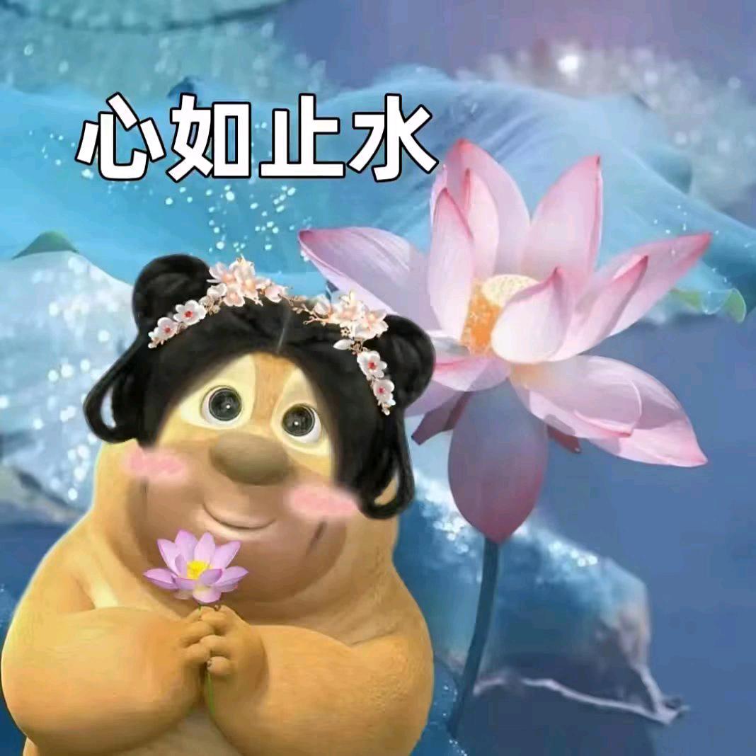 奇诺
