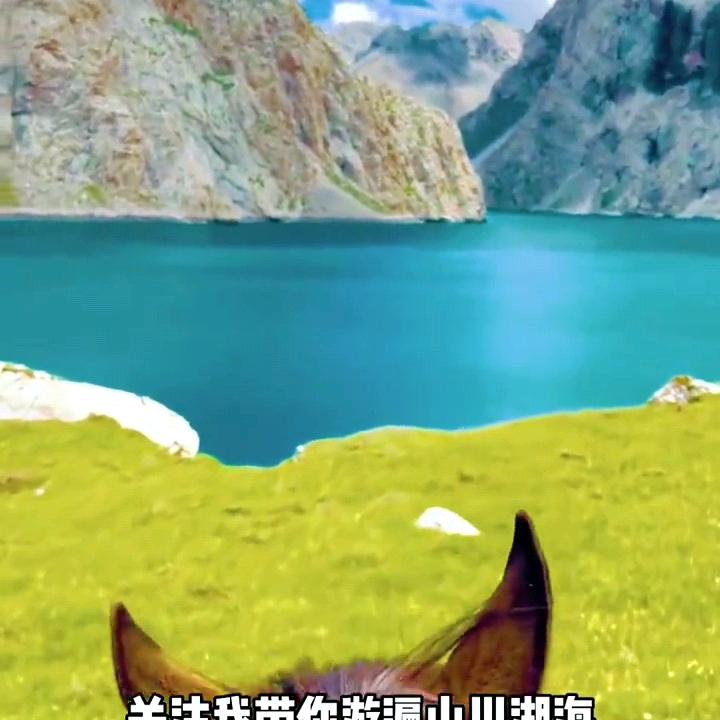 小欣欣子啊(好物精选)