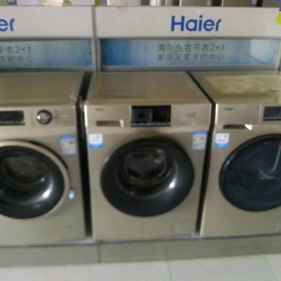 风中的玫瑰.