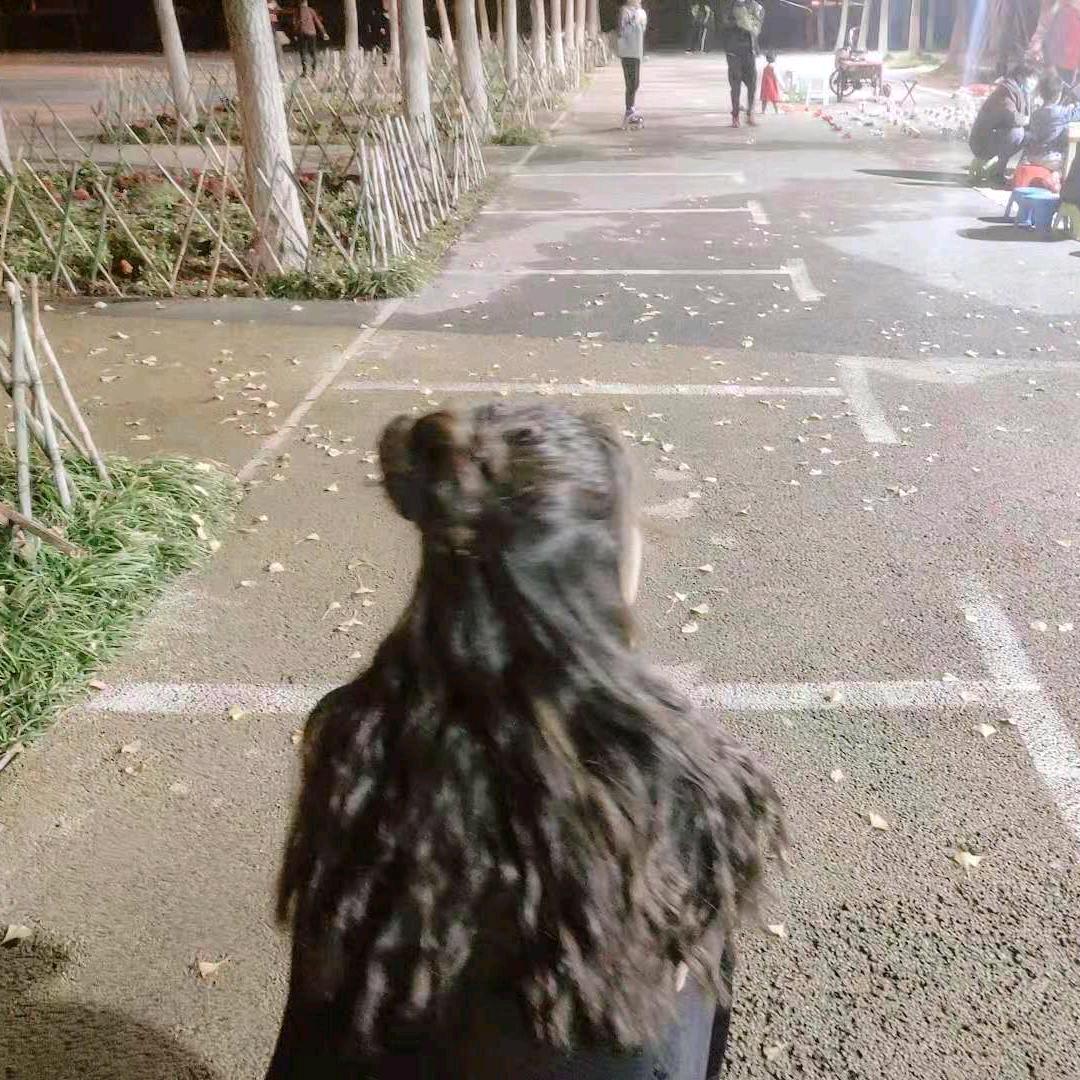 筱十七。（小张老师）
