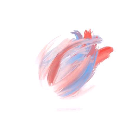 小兔子🐰乖乖