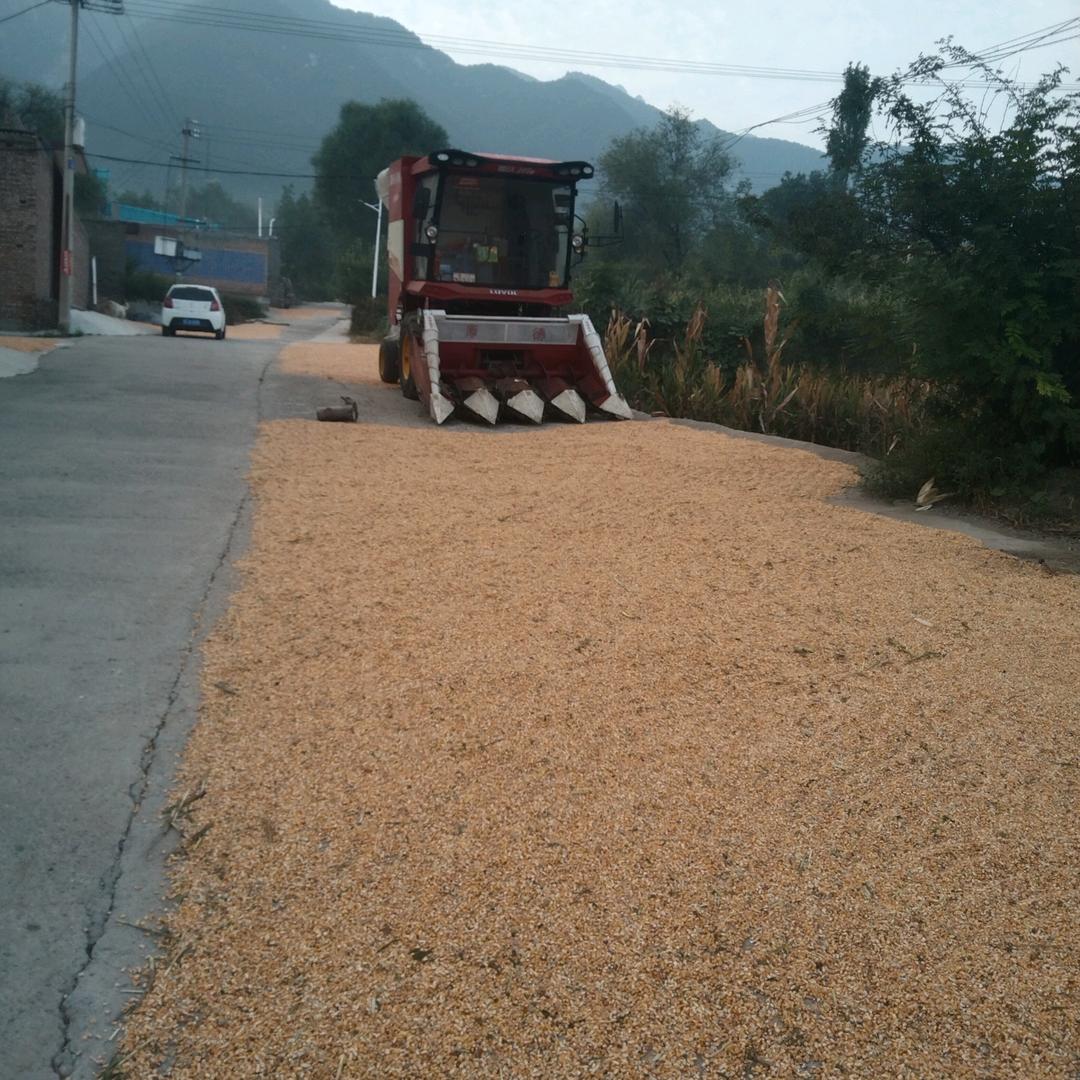 人生路途快乐成长