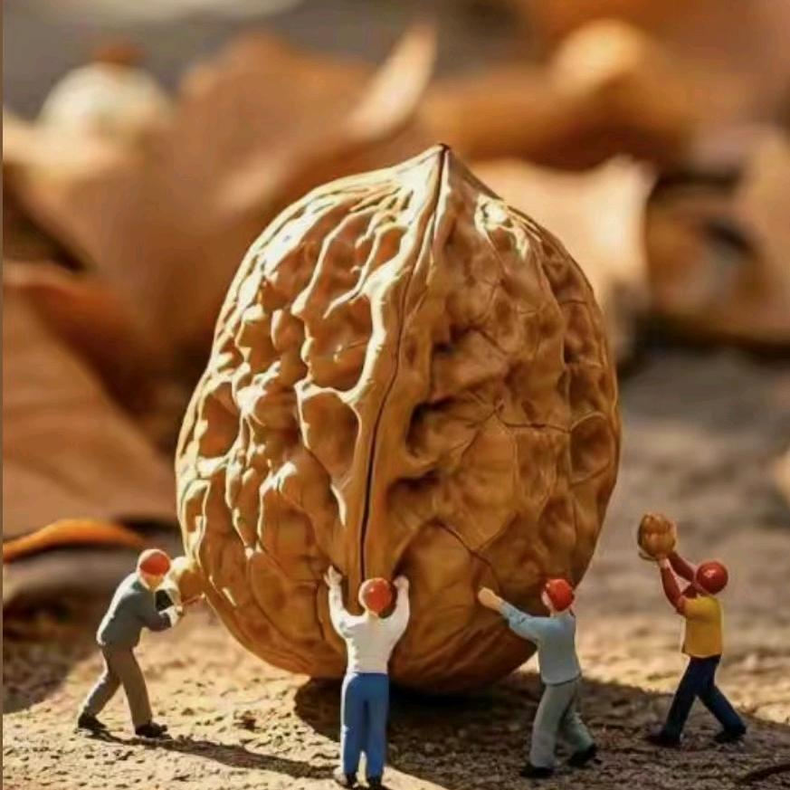 买合木提江