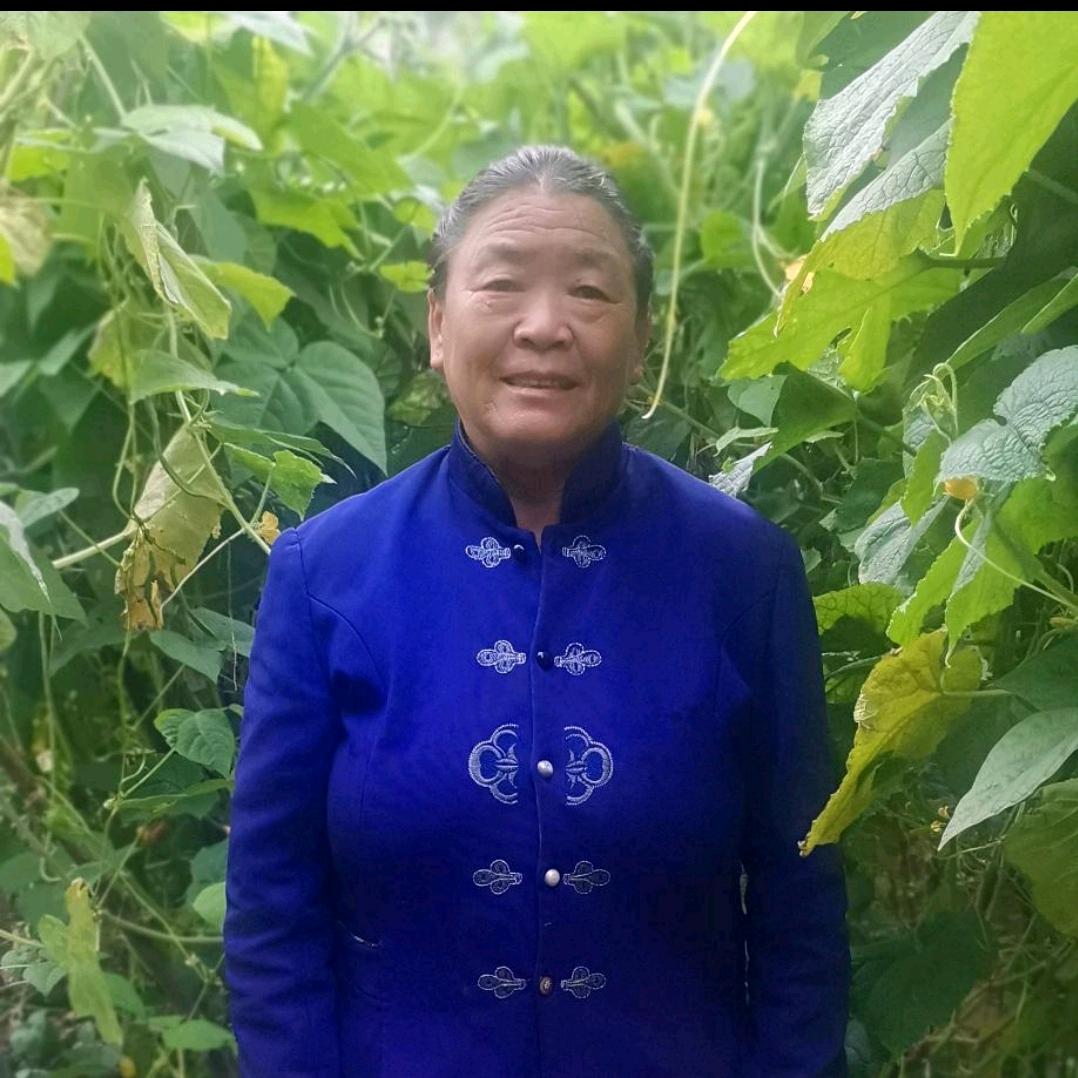 💞岁月如歌💞