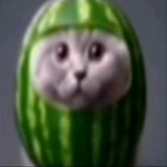 没有猫猫的无聊世界