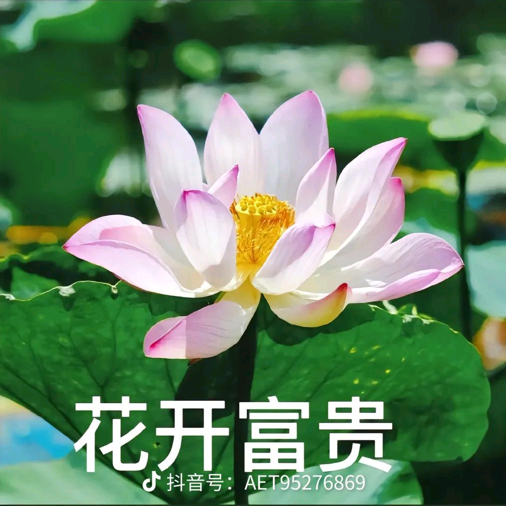 刘姐