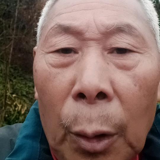 沁