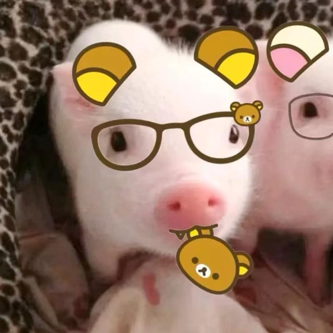 小倪