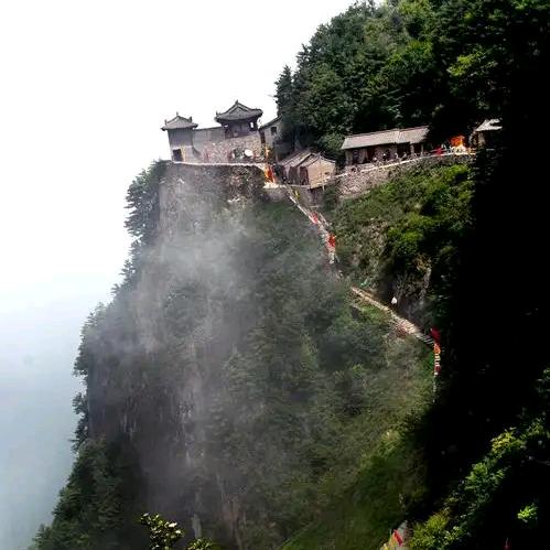 香山松叶