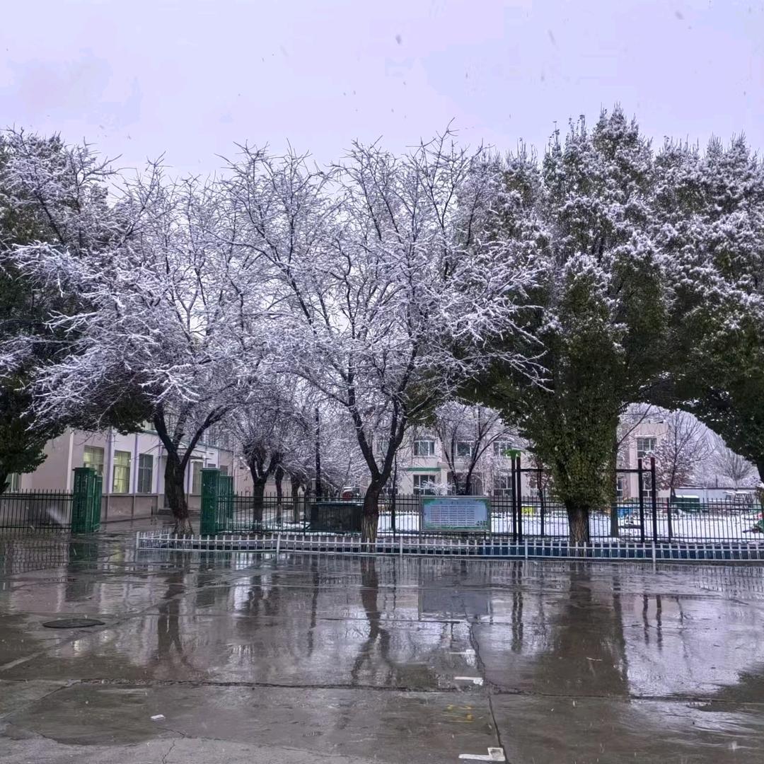小马说不爱